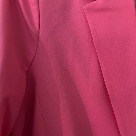 Pink Suit (Blazer + Dress Pants) - Picture 7 of 7